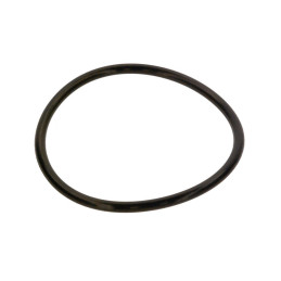 O-ring 20,02x6,99-N